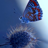 Laissez vos enfants vous dire… tout l’amour qu’ils ont à vivre !