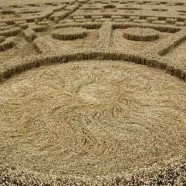 Crops circles – Nous en créons pour vous parler d’amour et d’harmonie