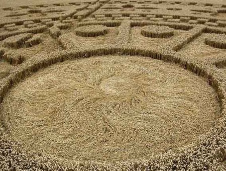 Crops circles – Nous en créons pour vous parler d’amour et d’harmonie