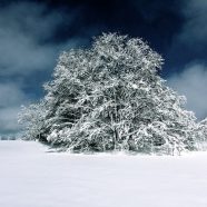 Un temps pour marcher, un pas vers SOI…