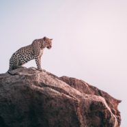 L’amour de soi… pour OSER ETRE