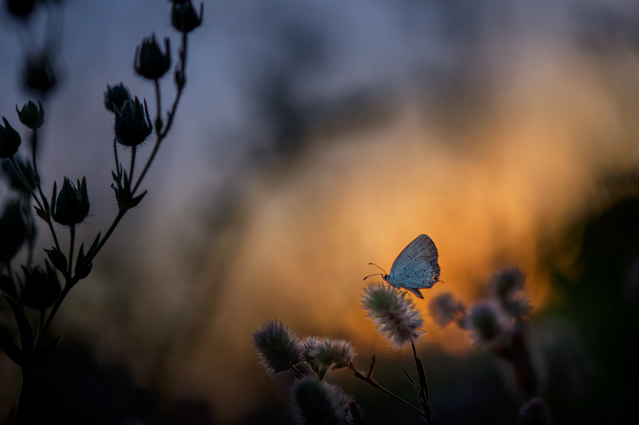 Que ton travail devienne une activité de vie de joie et d’amour ! Que ton travail devienne une activité de vie de joie et d’amour !